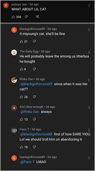 The cat will be fine, since they are Miyoung's cat, and not the streamers (Image via YouTube)